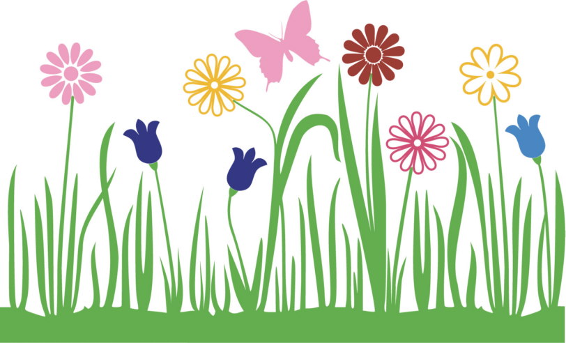 FR39_blumenwiese_bunt_340x560